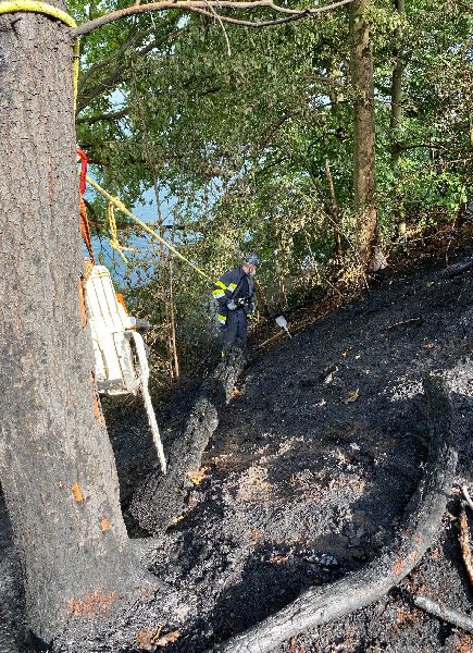 Waldbrand Drauschleife in Villach, Hubschrauber im Einsatz (Bild 4)